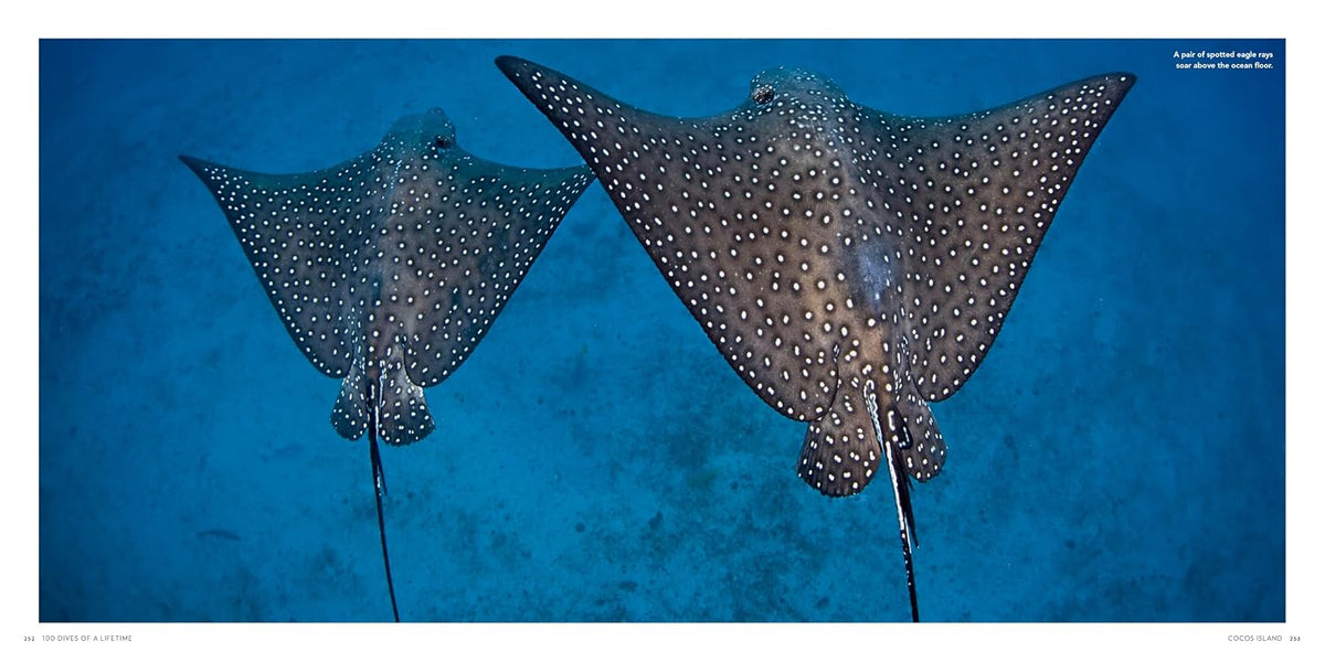 Ultimate Underwater Destinations Collection