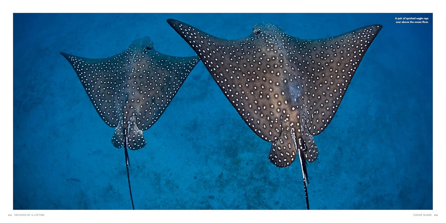 Ultimate Underwater Destinations Collection