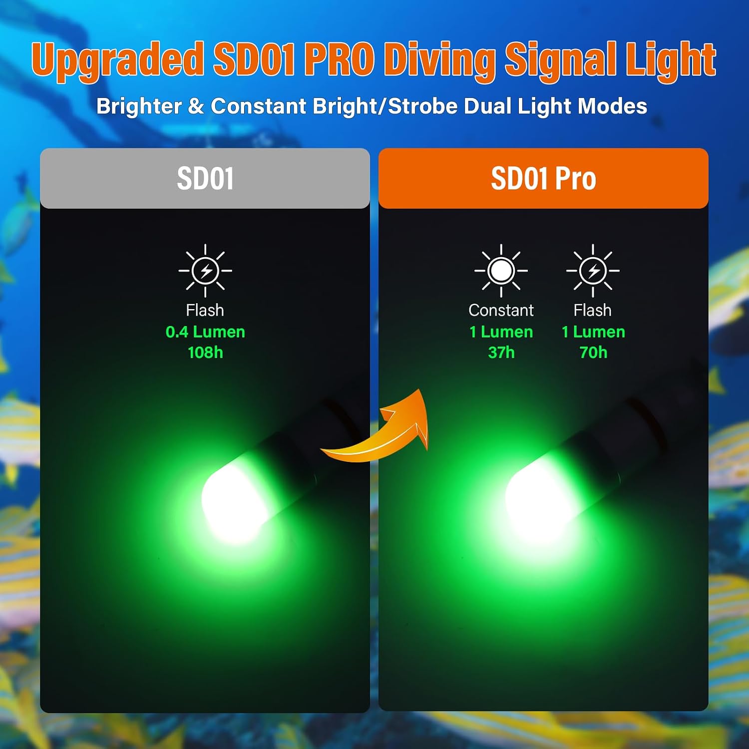 Night Dive Signal Light