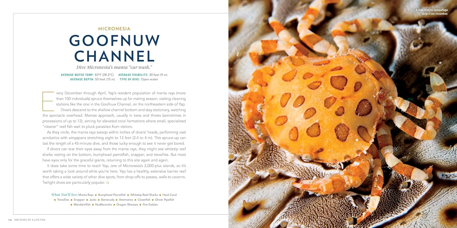 Underwater Destinations Collection showcasing top 100 dive sites with vivid marine life and expert travel tips