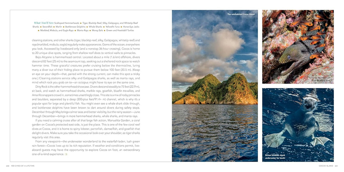 Ultimate Underwater Destinations Collection