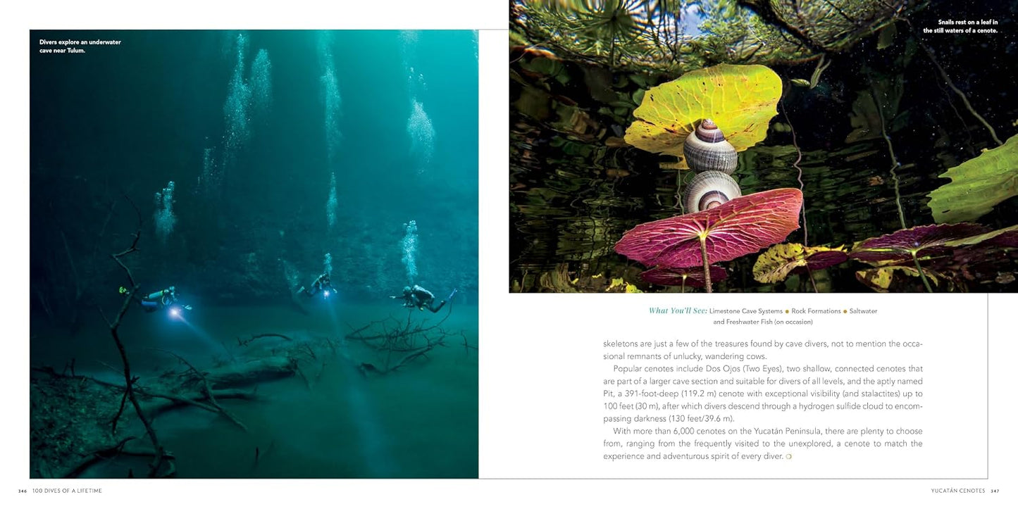 Ultimate Underwater Destinations Collection