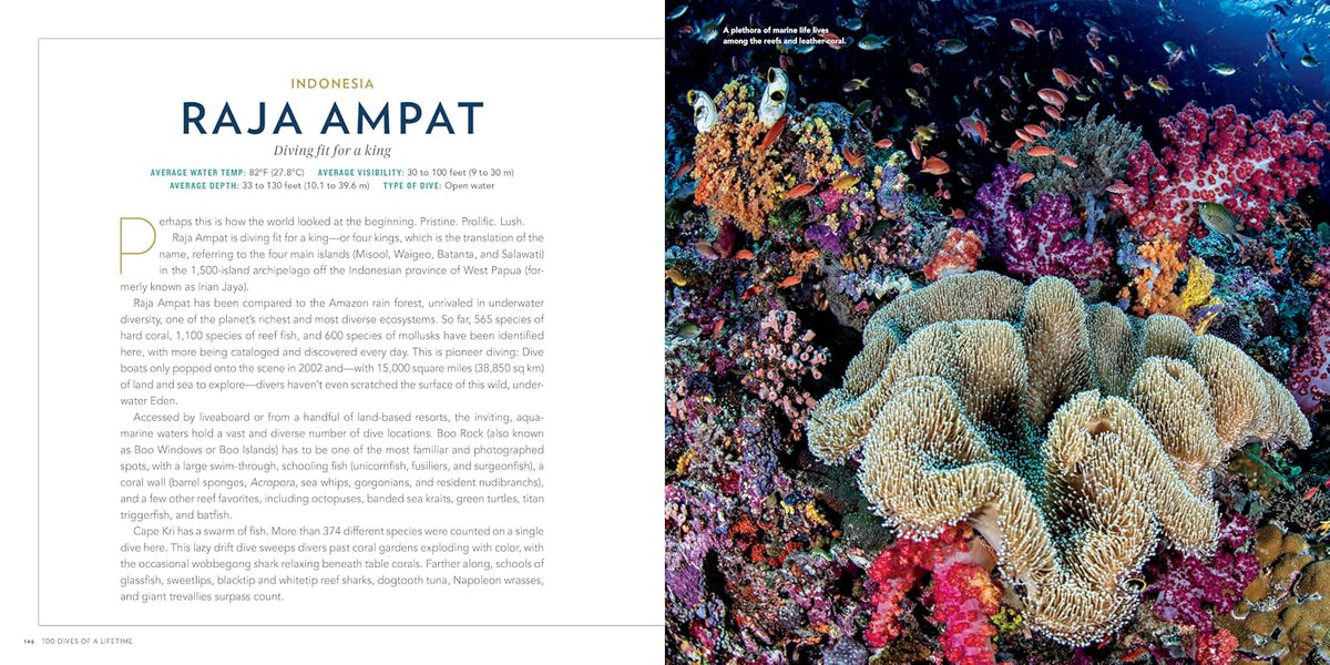 Ultimate Underwater Destinations Collection